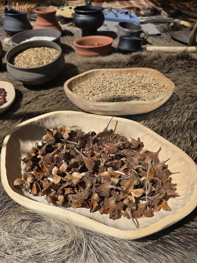 Five Things in Your Pantry That Heritage Grains Do Better