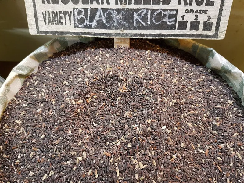 Forgotten Grains, Found Again: The American Farmers Rescuing Heirloom Rice From Obscurity