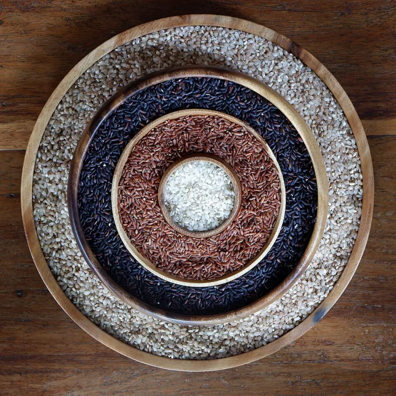 Same Seed, Different Story: How Soil, Water, and Sky Shape the Flavor of American Heritage Rice